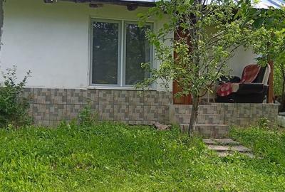 Casă individuală cu 2 camere cu Teren 10800 Mp în Golești - 1