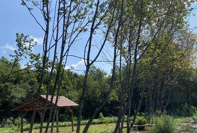Teren de 2000 mp, în Vlădeni