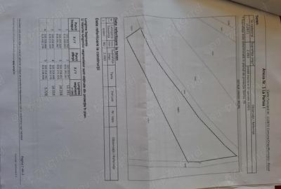 Teren în Șerani - 5