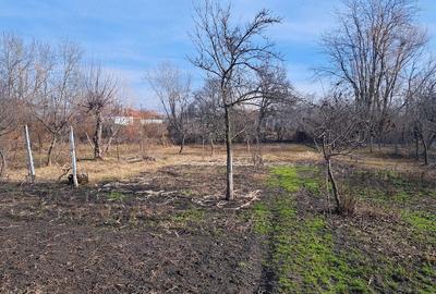 Casă cu Teren 1024 Mp în Central