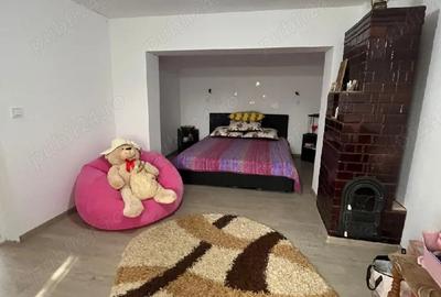 Casă cu 3 camere cu Teren 4520 Mp în Potlogi - 4