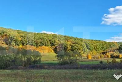Teren în Bozeni