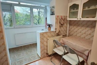 Apartament cu 2 camere decomandat, mobilat în Banu Manta - 5