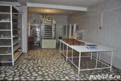Spațiu comercial, de 220 mp, în Ștefan Vodă - 1