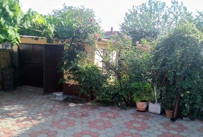 Casă cu 5 camere cu Teren 270 Mp în Freidorf - 14