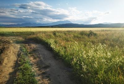 Teren agricol intravilan de 1022 mp, în Cristian - 4