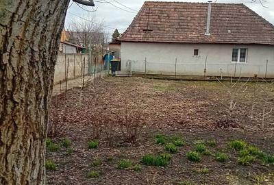 Casă cu 2 camere în Central - 2
