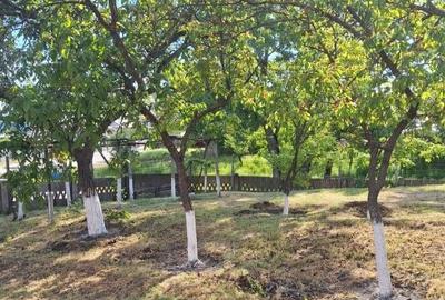 Casă cu 3 camere cu Teren 1686 Mp în Central