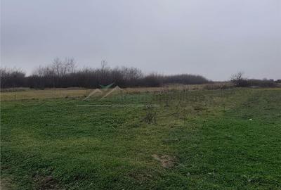 Teren de 1900 mp, în Sânmartin