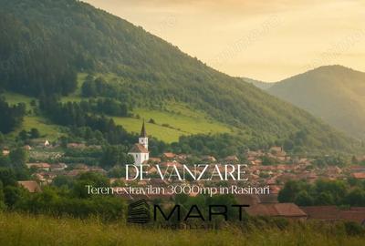 Teren de 3000 mp, în Rășinari