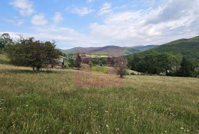 Teren de 3500 mp, în Valea Doftanei