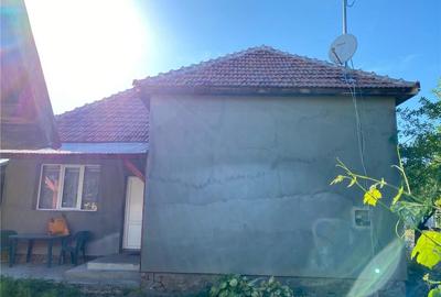 Casă cu 3 camere cu Teren 1709 Mp în Scărișoara Nouă