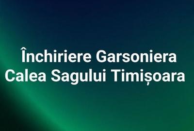 Garsonieră nedecomandată în Rudicica - 1