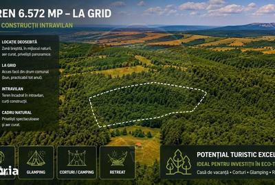 Teren de 6572 mp, în Părău - 7