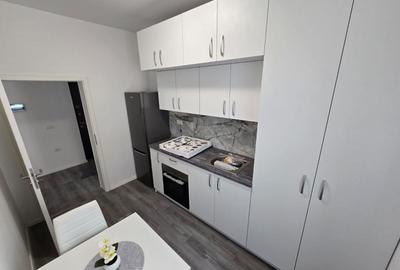 Apartament cu 2 camere, mobilat în Girocului