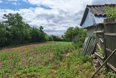 Casă cu 3 camere în Tanacu - 3