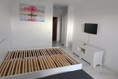 Garsonieră în Nord - 9