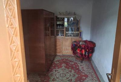 Casă cu 4 camere cu Teren 3116 Mp în Boroșteni