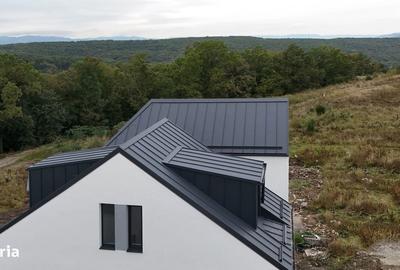 Casă cu 5 camere cu Teren 430 Mp în Făget - 5
