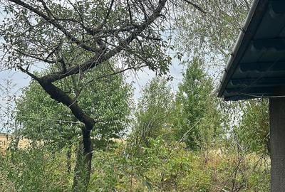 Casă cu 3 camere cu Teren 2700 Mp în Broșteni