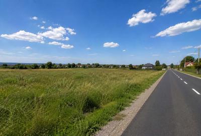 Teren de 1600 mp, în Domnești