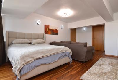Apartament cu 2 camere semidecomandat, mobilat în Unirii - 2