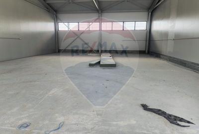 Spațiu industrial, de 200 mp, în Cernica - 11
