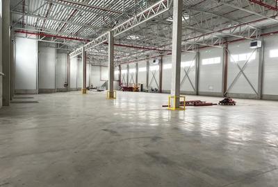 Spațiu industrial, de 1,000 mp, în Gilău - 5