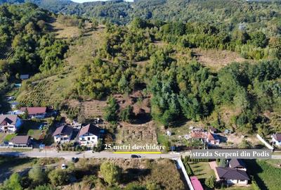 Teren Construcții intravilan de 9371 mp, în Podiș