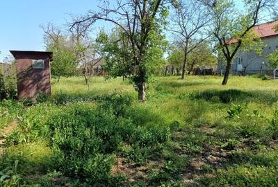 Casă cu 3 camere în Central - 2