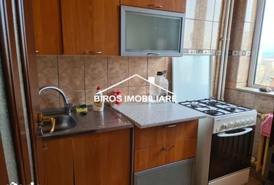 Garsonieră în Brazda lui Novac - 1