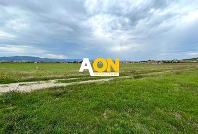 Teren Construcții intravilan de 4200 mp, în Ciugud - 4