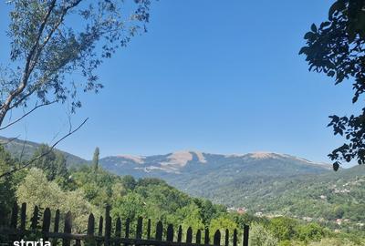 Teren de 2350 mp, în Ghioșești - 5