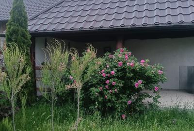 Apartament cu 2 camere decomandat în Central - 6