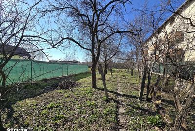 Casă cu 3 camere cu Teren 1095 Mp în Pârneava - 3