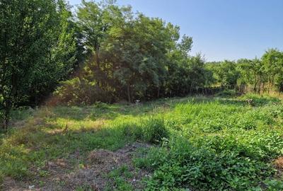 Teren de 2200 mp, în Milcoiu - 6