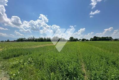 Teren Construcții intravilan de 1800 mp, în Porumbacu de Jos - 1