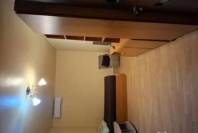 Garsonieră decomandată în Craiovița Nouă - 7