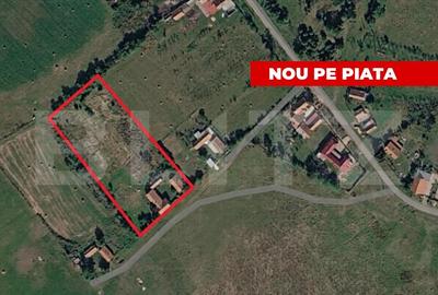 Teren Construcții intravilan de 8000 mp, în Chevereșu Mare