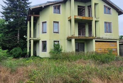 Casă individuală cu 9 camere cu Garaj în Peciu Nou - 3