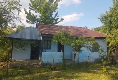 Spațiu comercial, în Bughea de Jos - 6