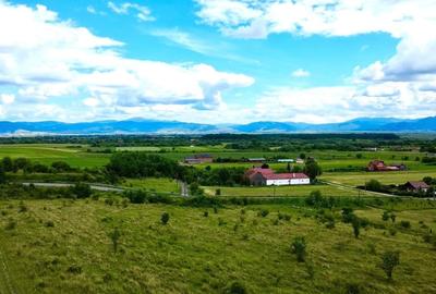 Teren Construcții intravilan de 854 mp, în Podu Oltului - 6