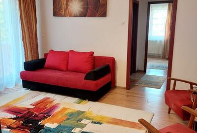 Apartament cu 2 camere semidecomandat în Podu Roș - 14