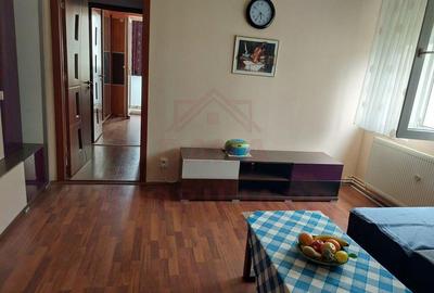 APARTAMENT LA CHEIE,2CAMERE O?elu-Ro?u,Jud.Cara?-Severin - 5