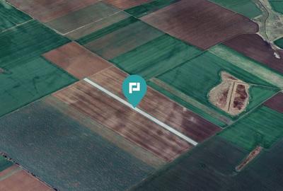 Teren 30.000 mp la drum asfaltat – Peciu Nou - 3