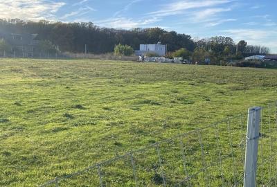 Domnesti, padurea Teghes - 4