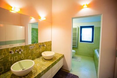 Vila deosebita Braytim - 22