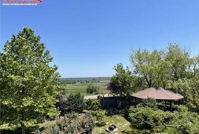 Casă cu 4 camere cu Teren 10000 Mp în Nufăru - 11