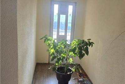 Casă cu 4 camere cu Teren 954 Mp în Calea Moldovei - 5