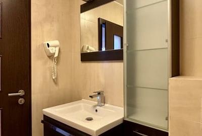 Garsonieră semidecomandată, mobilată în Dumbrăvița - 9